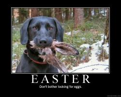 dog rabbit in mouth.jpg