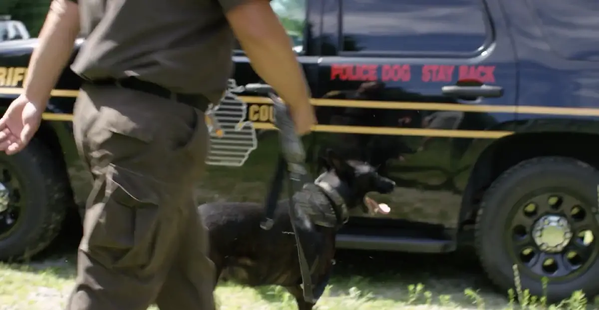 More information about "Four Out of Five Police Dogs Surveyed Prefer the Chevy Tahoe"