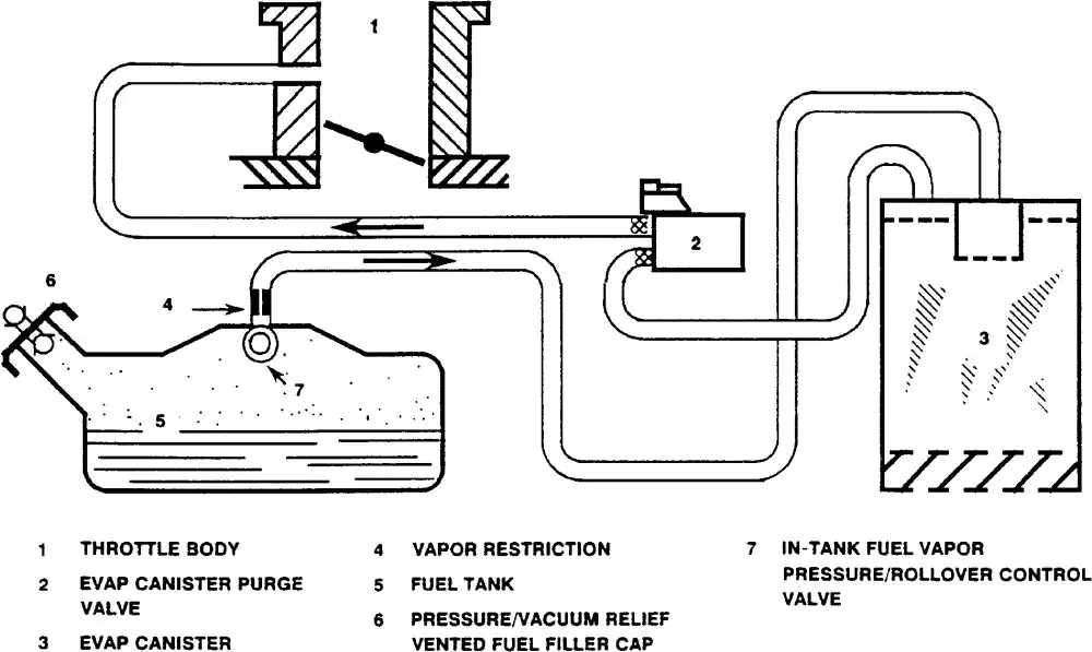 simple evap canister routing