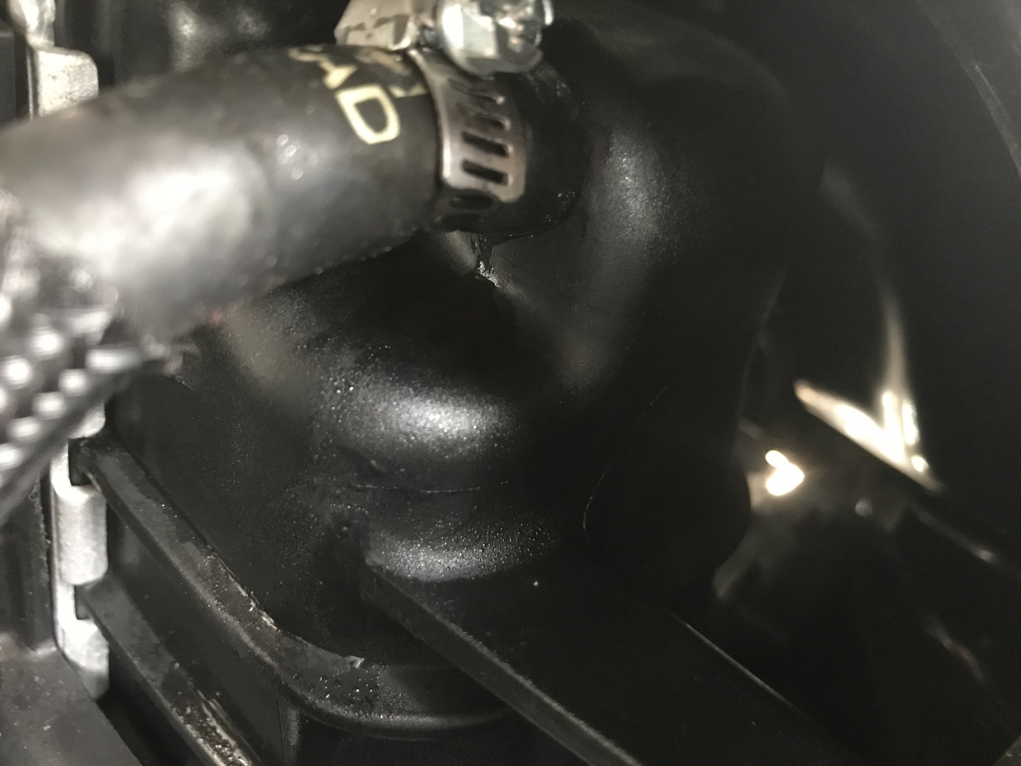 The Sierraelisabeth Leak: Was It A Setup? - yz7jjvp