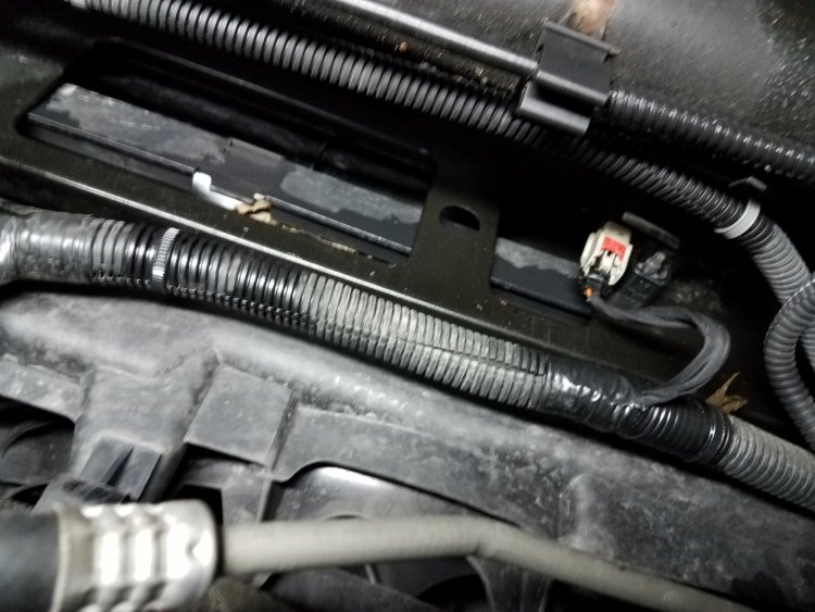 oil leak 5.jpg