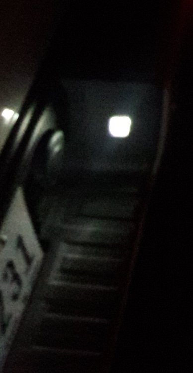 20180306_220702.jpg