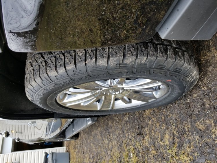 20180331_143038.jpg