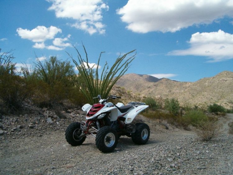 Raptor 660.jpg