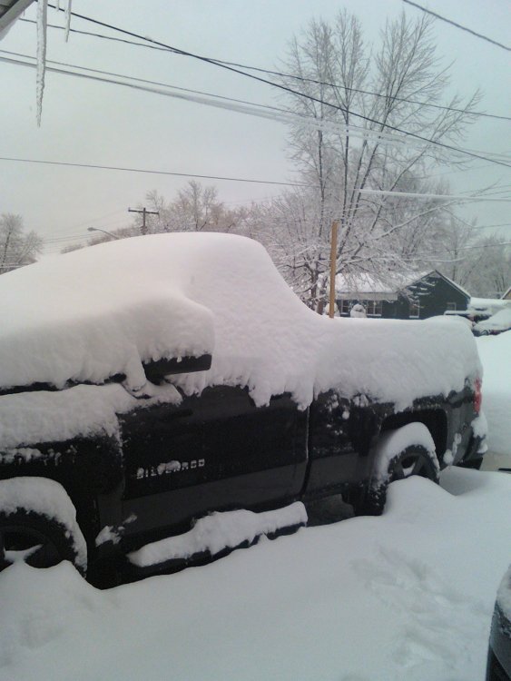 snow1.jpg