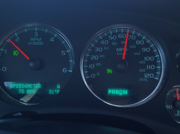 speedo.jpg