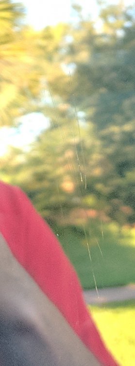 00000PORTRAIT_00000_BURST20180418185521173.thumb.jpg.6ed8c1b8880d60b3e28b63936d5769e3.jpg