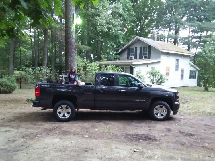 My Truck 2.jpg