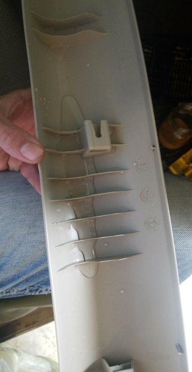 received_1810952062261440.jpeg