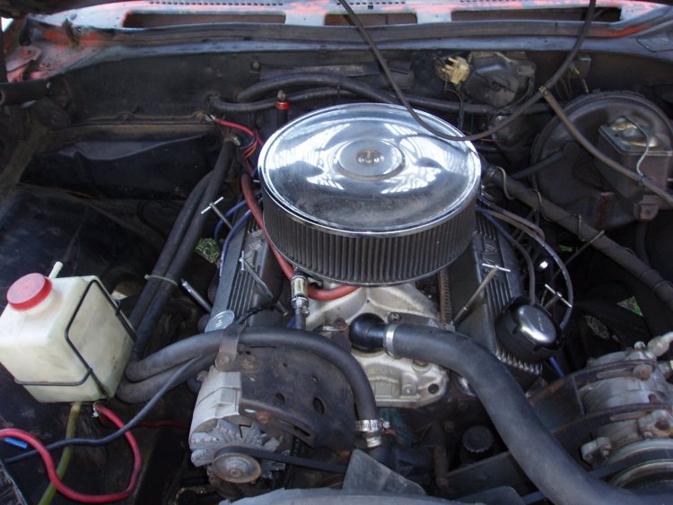5b271ec36c777_ElCamino11.thumb.JPG.8df599b7caa9617f2ab97b74fa3f55f8.JPG