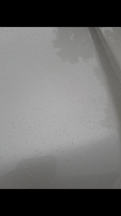 Screenshot_20180620-170821.jpg