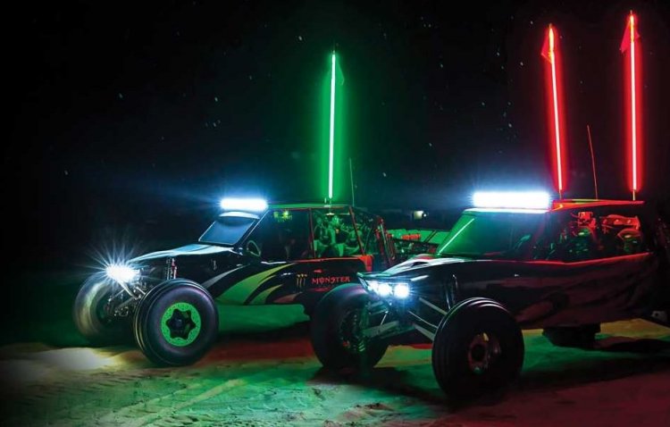 Buggy Whips.jpg