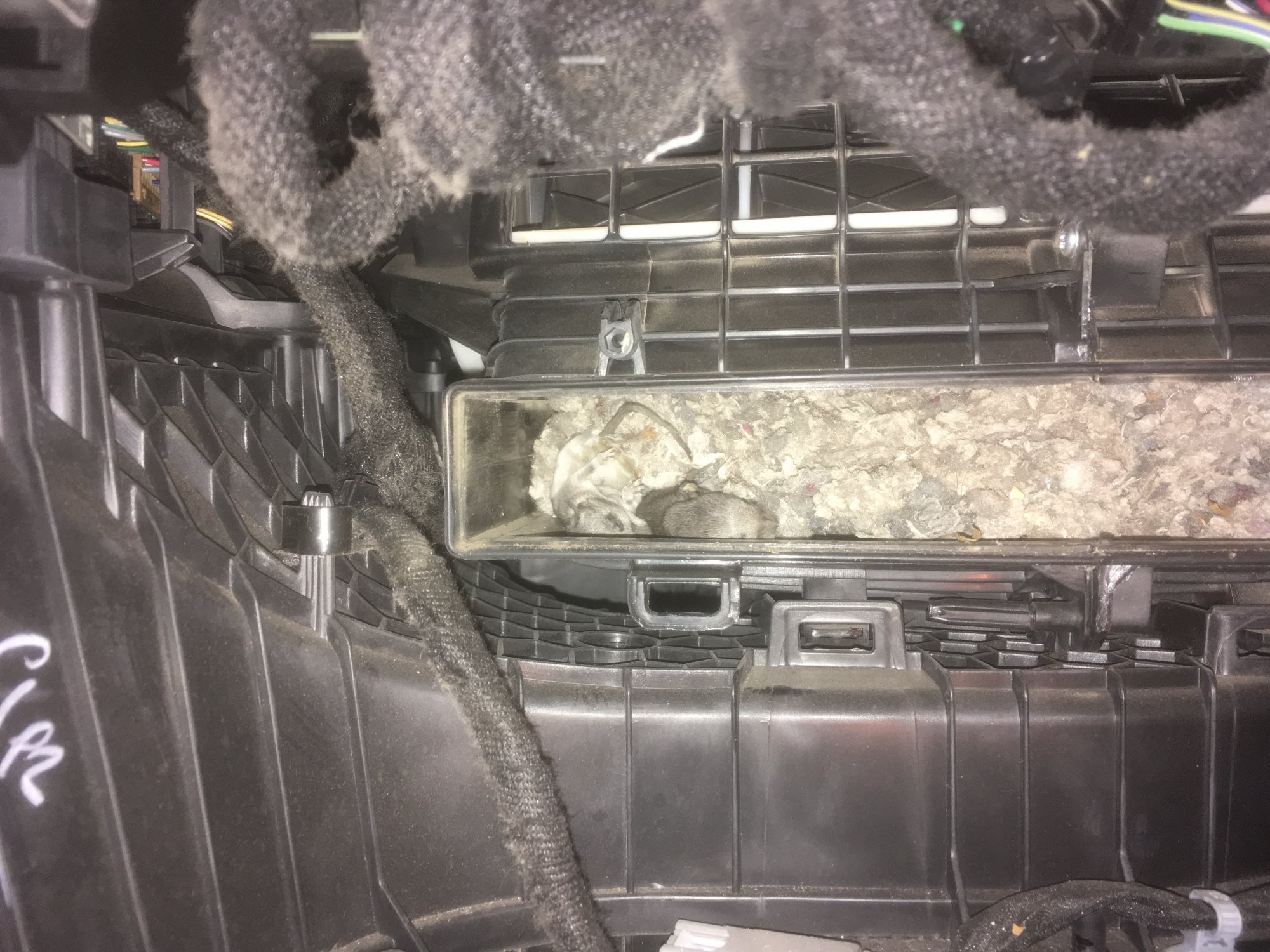 Mice inside 2015 Chevrolet Silverado. Entering through the recirc vent