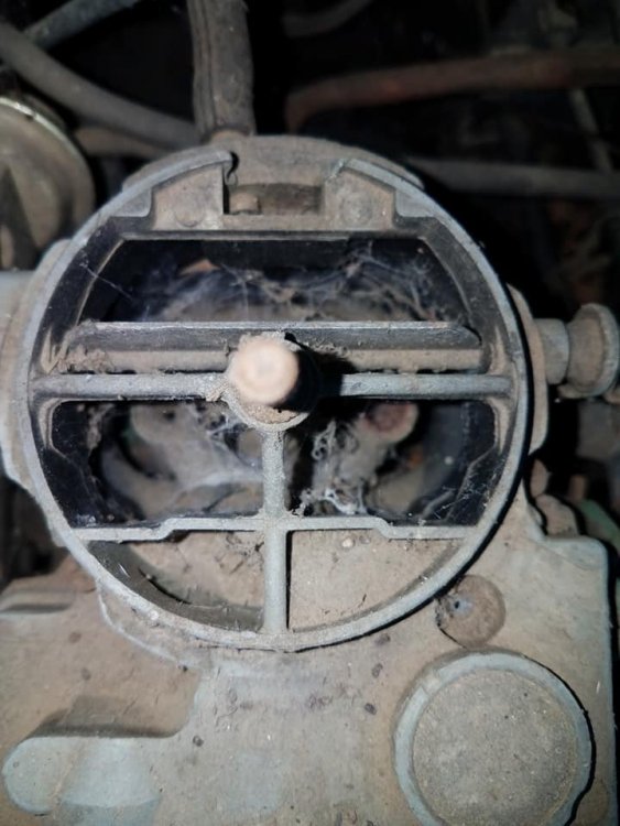 Interior of the carburetor.jpg