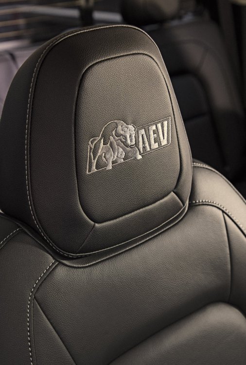 bison seats.jpg