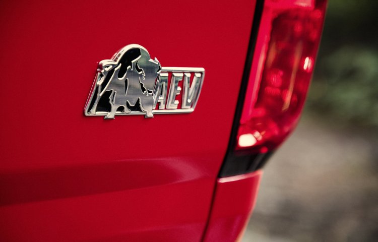 bison logo.jpg