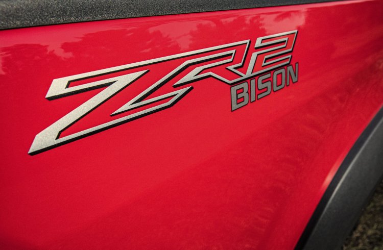 bison side trim.jpg
