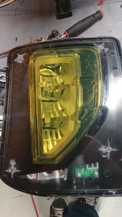 yellowfogs4.thumb.jpg.5ed09ad682afb1093b69039ae4e886af.jpg