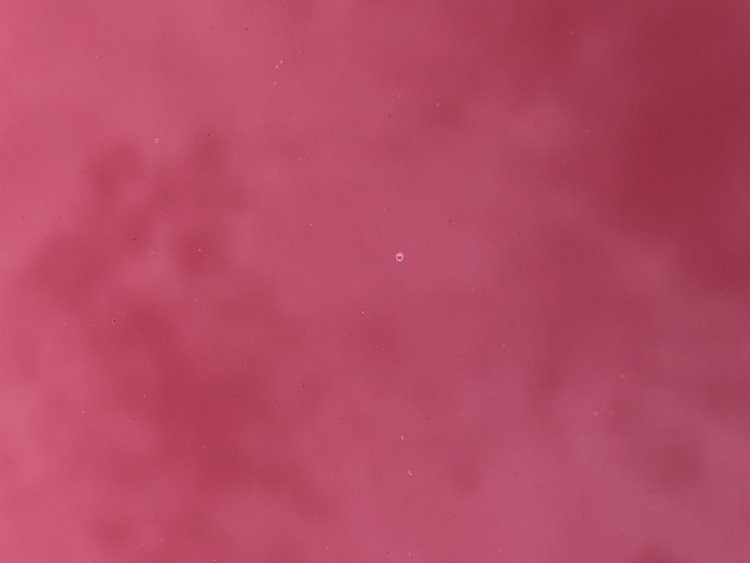 92708603-590A-4BD7-9FB2-B4C3A58E6969.jpeg