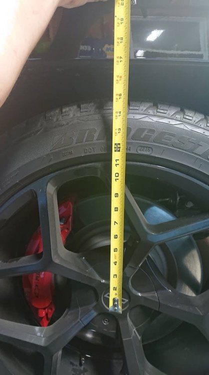 17.5.jpg