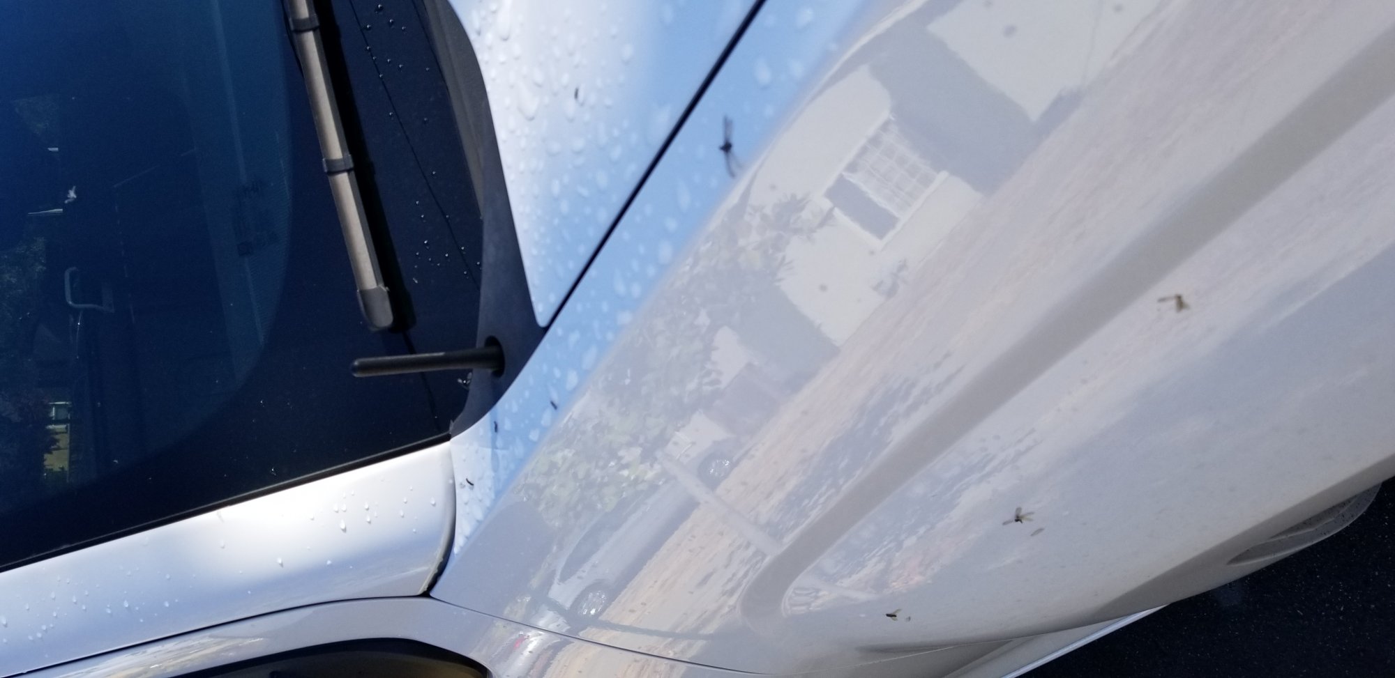 What shorty antenna (or antenna delete) are you using 20142018 Silverado & Sierra Mods GM