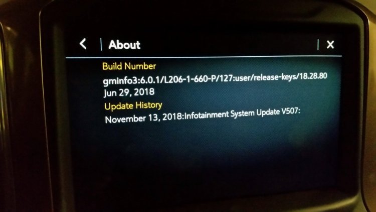 Build1.jpg
