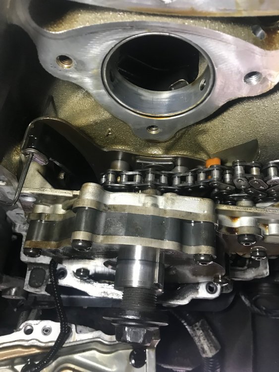 Timing Chain.jpeg