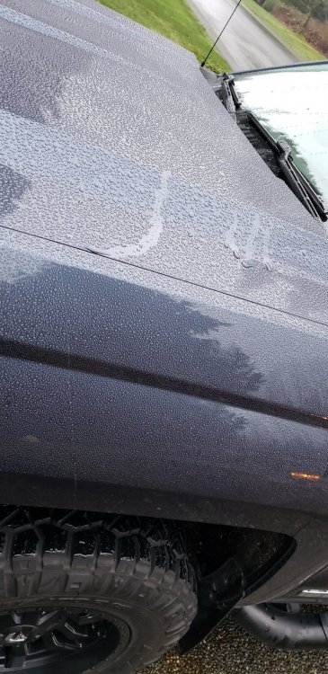 20190124_081042.jpg
