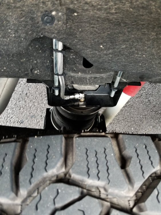 20190130_170330.jpg