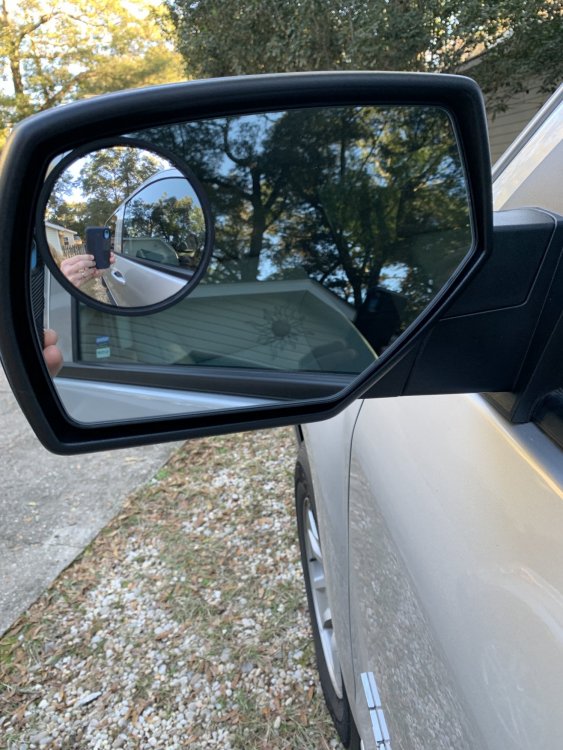 5c3123905e9c3_ConvexMirror.thumb.jpg.c44cb9f32787fe3d0b30249486cbf28f.jpg