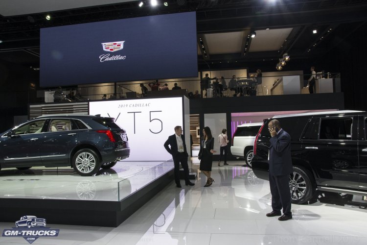 Cannell_2019_naias_CADILLAC-0285.jpg