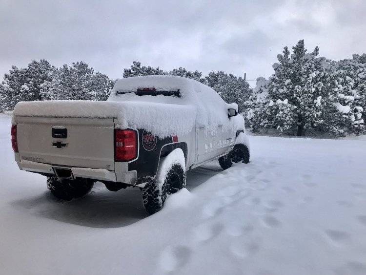 snow2.jpg