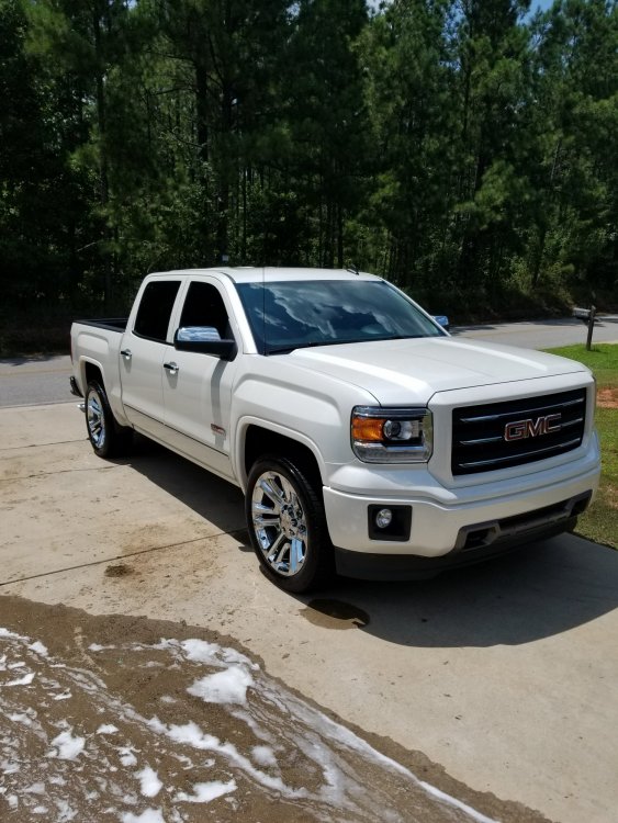 20180728_144559.jpg