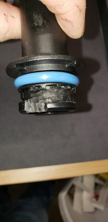 20181230_121117.jpg