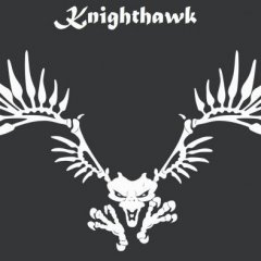Knighthawk1911