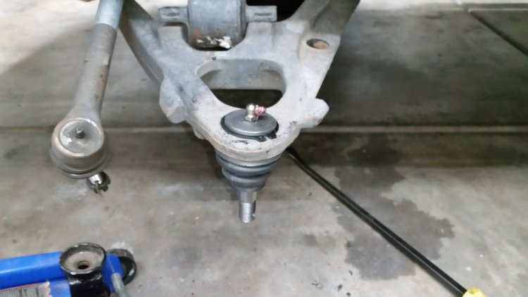 20181207_185524.jpg.0ac611f57241327feb282300f9eb07d9.jpg