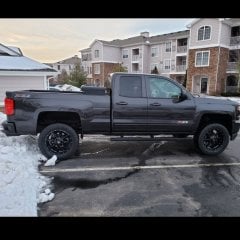 Z71DarkDragon16