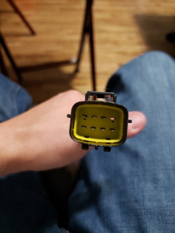 Fuse relay box_06.jpg