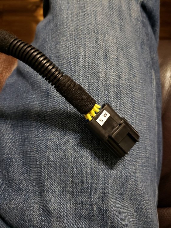 Fuse relay box_05.jpg