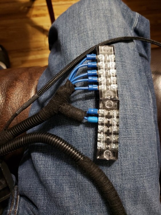 Fuse relay box_03.jpg