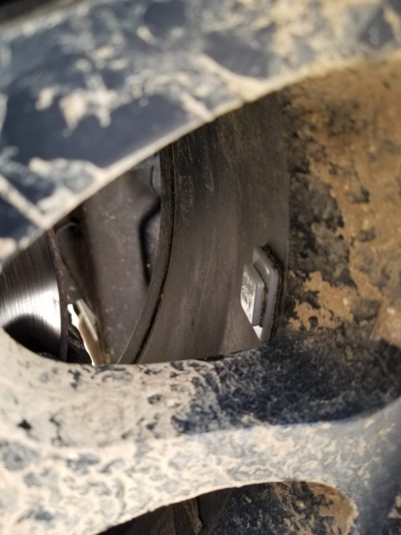 20190407_154747.thumb.jpg.cd29354bc7faac9125eb4d2bec788682.jpg
