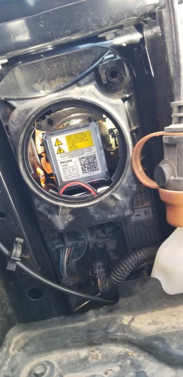 20190408_105027.jpg