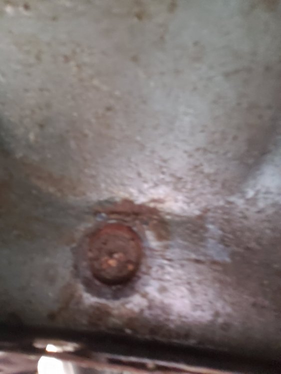 20190422_140433.jpg