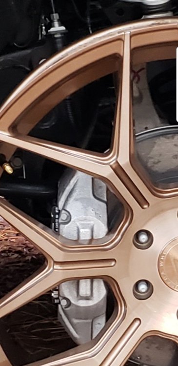 Screenshot_20190226-204947_Gallery.jpg