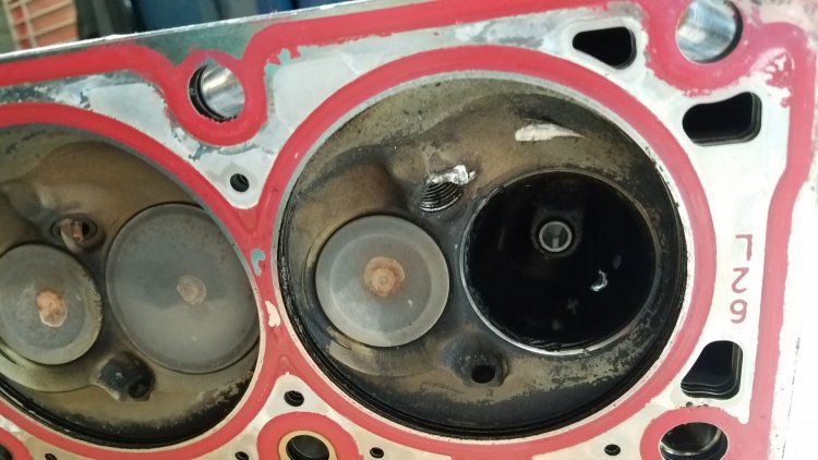 20190502_112304.jpg