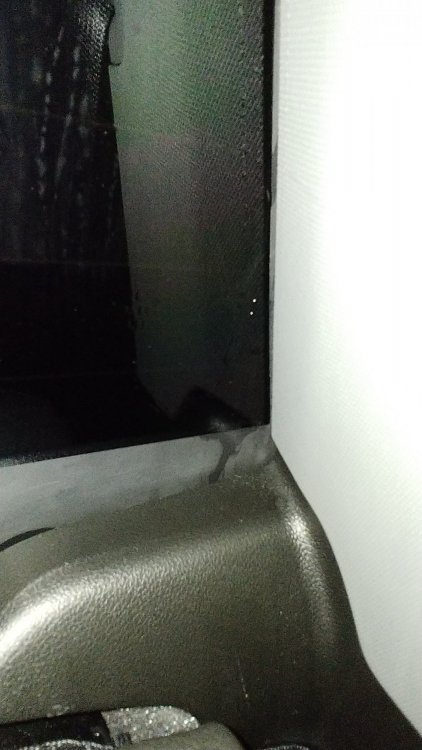 20190504_061819.jpg