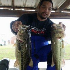 eddiebfishing
