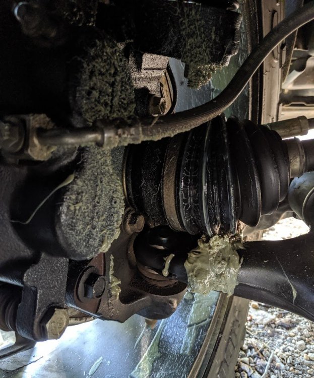 CV Joint.jpg