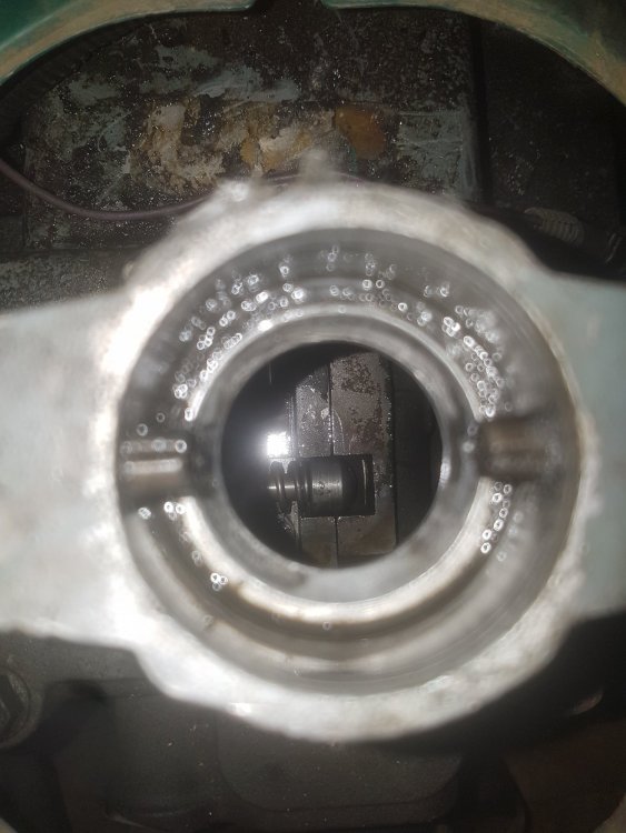 20191224_125529.jpg