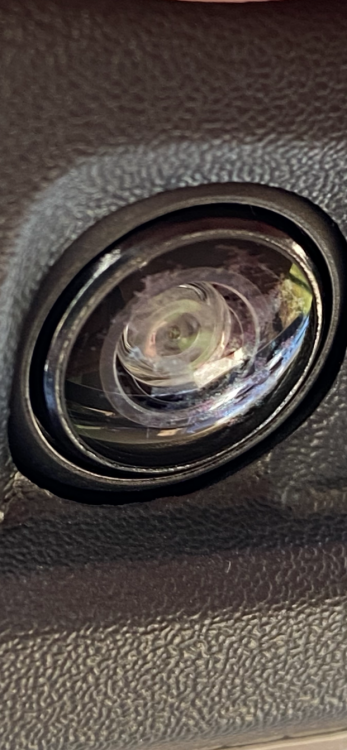 IMG_0529.PNG
